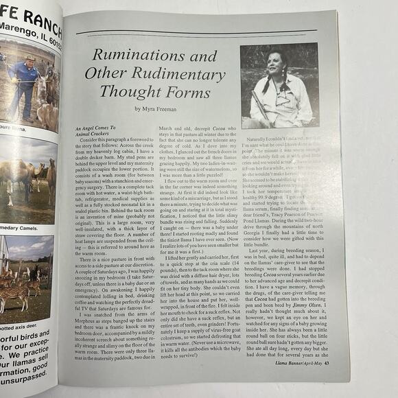 Set of 3 Vintage Llama Banner Magazines April May June July August 1993 - Picture 4 of 16